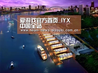 案例展示八